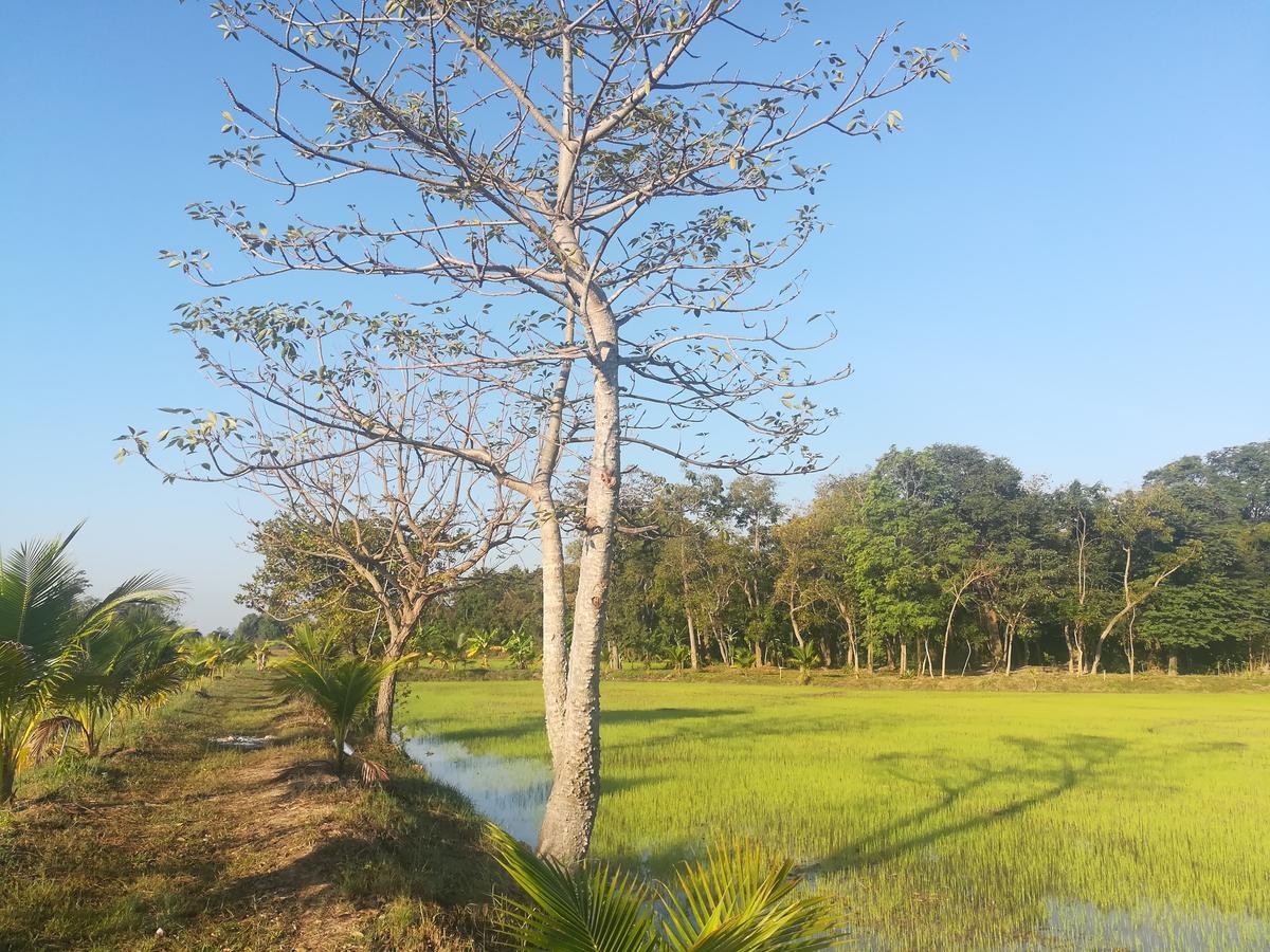 Bn Resort Ban Nong Chum Saeng エクステリア 写真